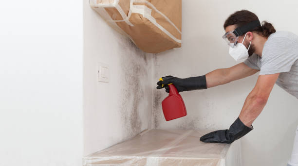 Professional Mold Testing technician working in Westbury, NY