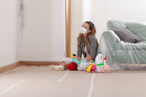 Reliable Mold Testing contractor in Westbury, NY by WQB Mold Removal